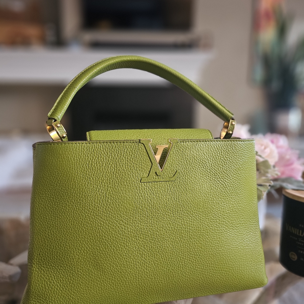 Louis Vuitton Green Handbag